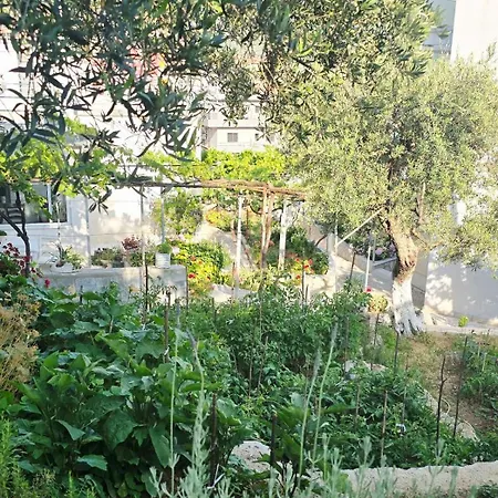 Sea Side Serenity 4 Daire *