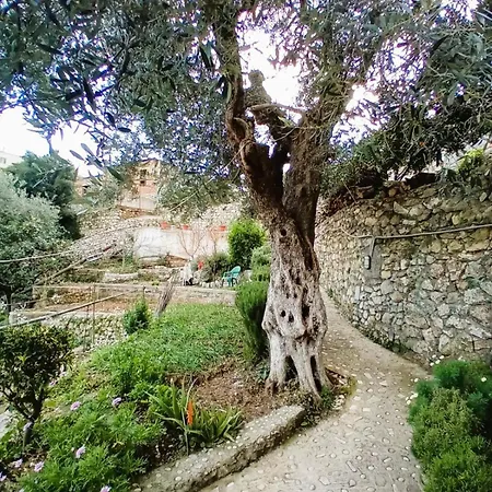 Daire Sea Side Serenity 4 Himarë