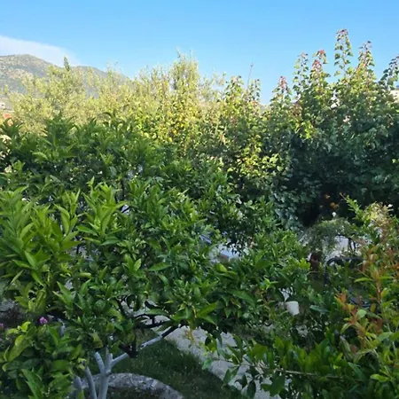 Sea Side Serenity 4 Daire Himarë