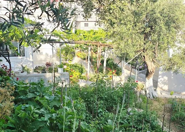 Sea Side Serenity 4 Daire *