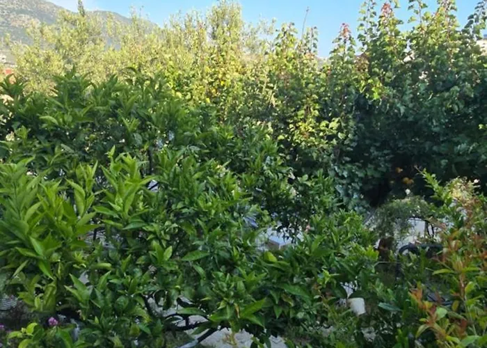 Sea Side Serenity 4 Daire Himarë