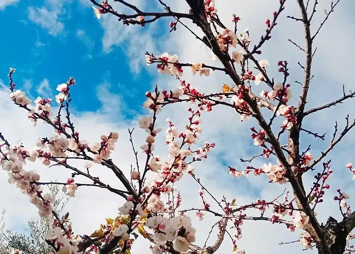 Апартаменты Sea Side Serenity 4 Химара